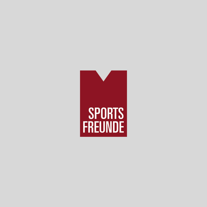Logo Sportsfreunde